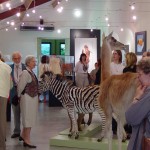 Expo Fima-DavidP. Musée des Sciences Naturelles de Tournai-2004 (19)