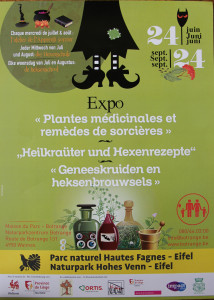 Expo Sorcières Botrange juin 2014 (5)