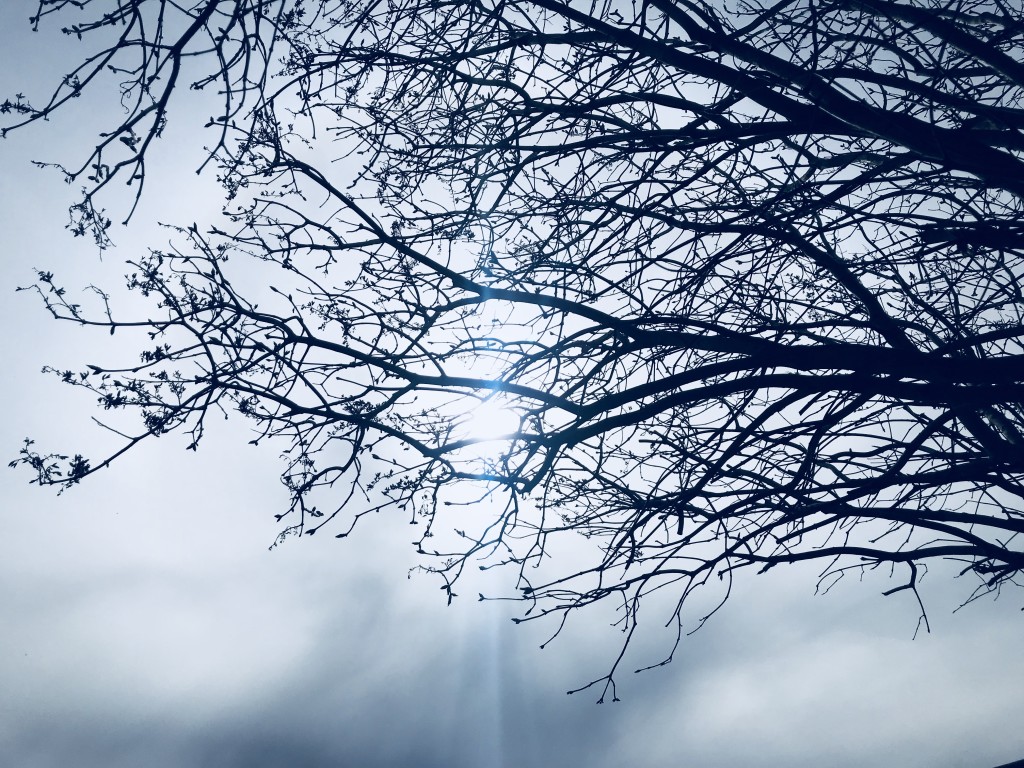 avril 2019