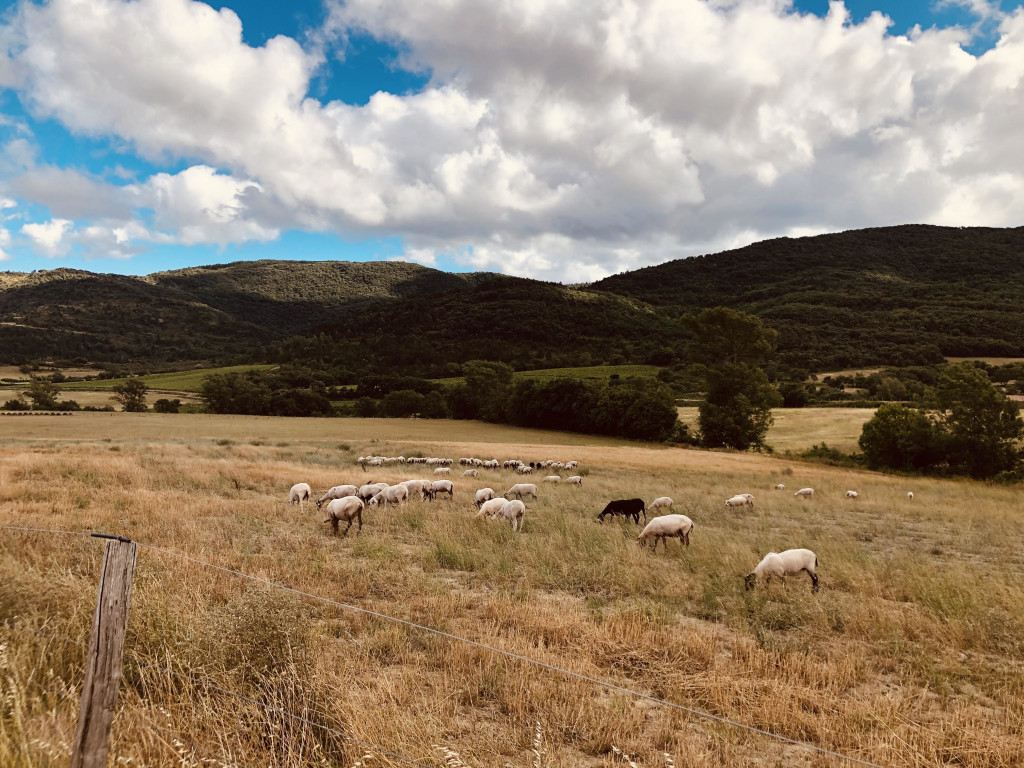 30 jours sur les routes de France…Loin des photos de Cartes postales et encore ! 😉 (5)