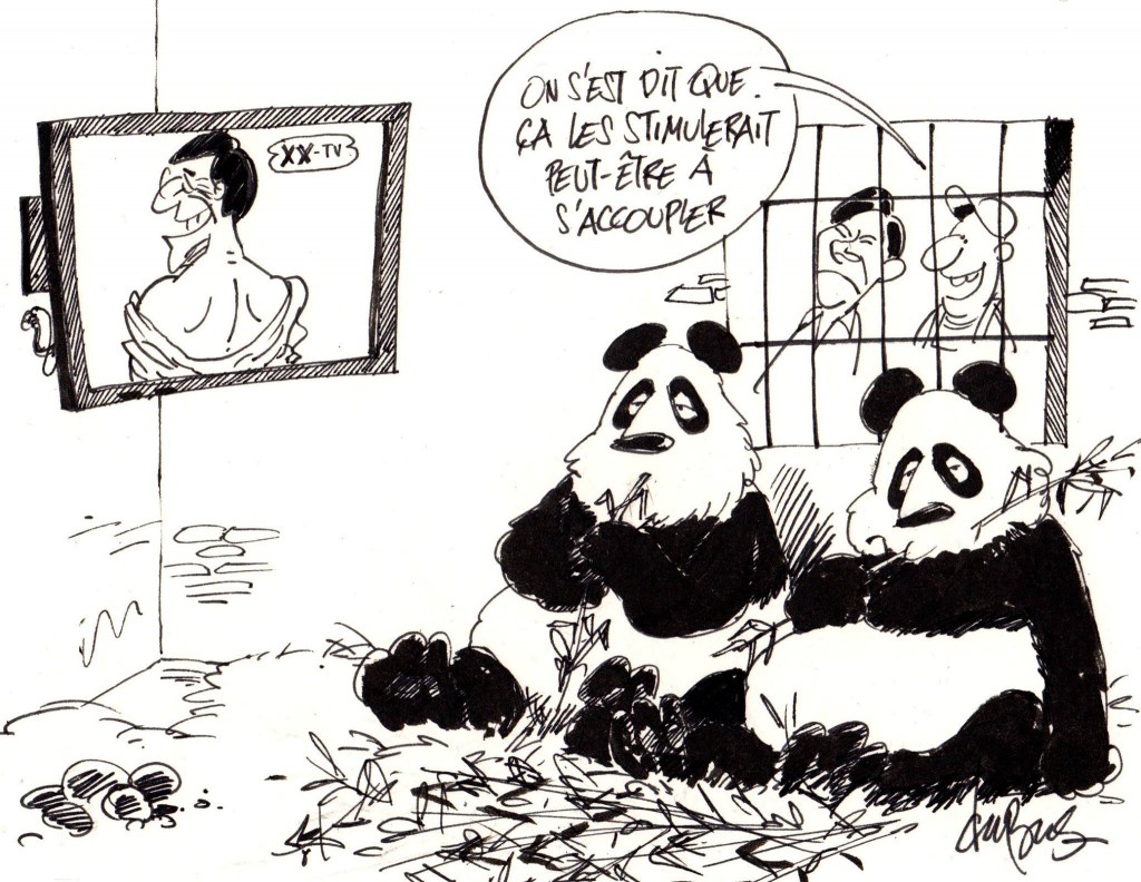Porno panda