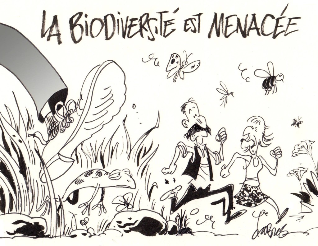 Une nouvelle espèce en voie de disparition