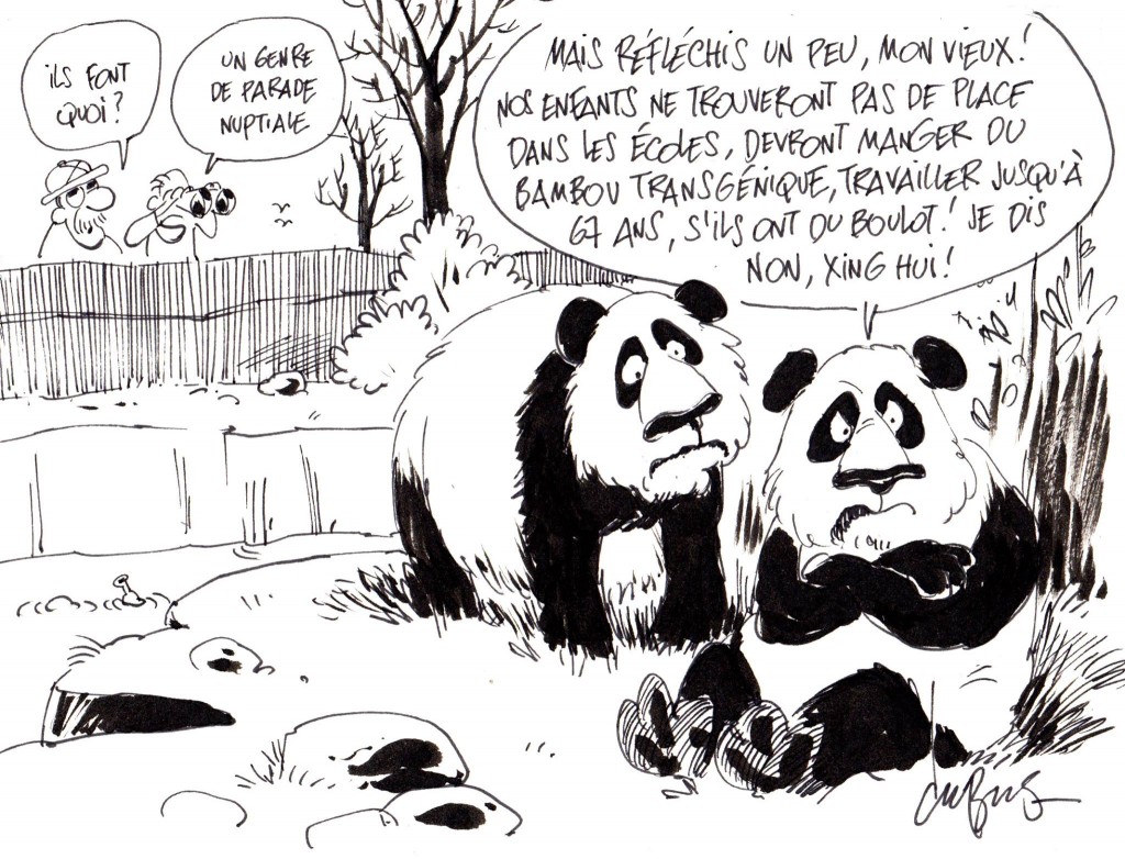 Du Ku Ku et du bla-bla