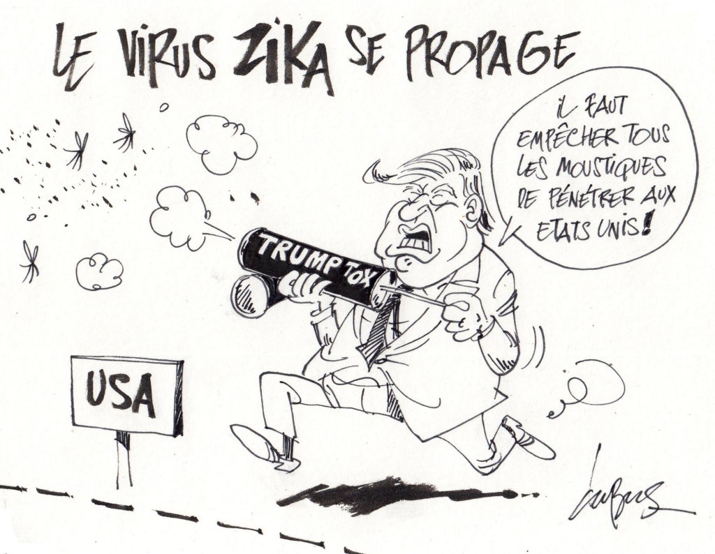 Sur le continent américain, le virus Zika peut provoquer des cas de microcéphalie.  La preuve en image.