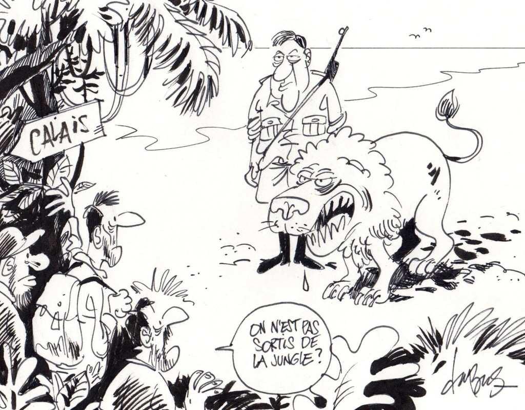 La loi de la jungle