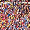 Maxime Le Forestier : N quelque part