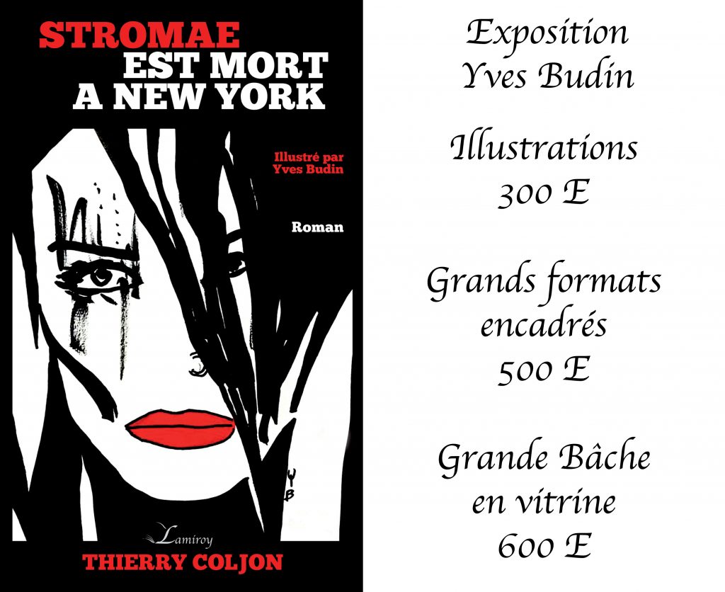 Exposition Yves Budin Stromae
